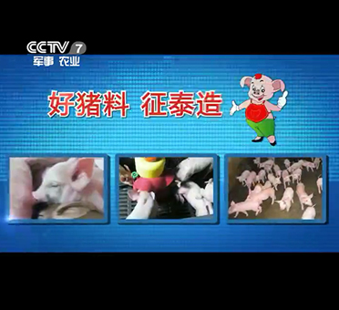 公司收到客戶致我司售后服務(wù)的感謝信